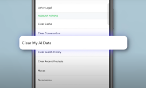 Clear Snapchat AI Data