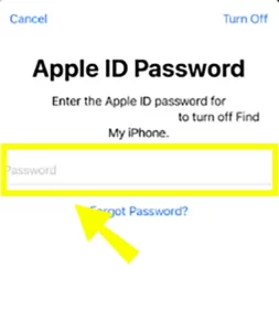 Mention Apple ID password