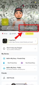 Look for the Public Profile Option