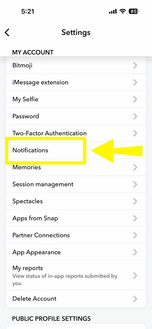 Find the Notifications section. Tap on it