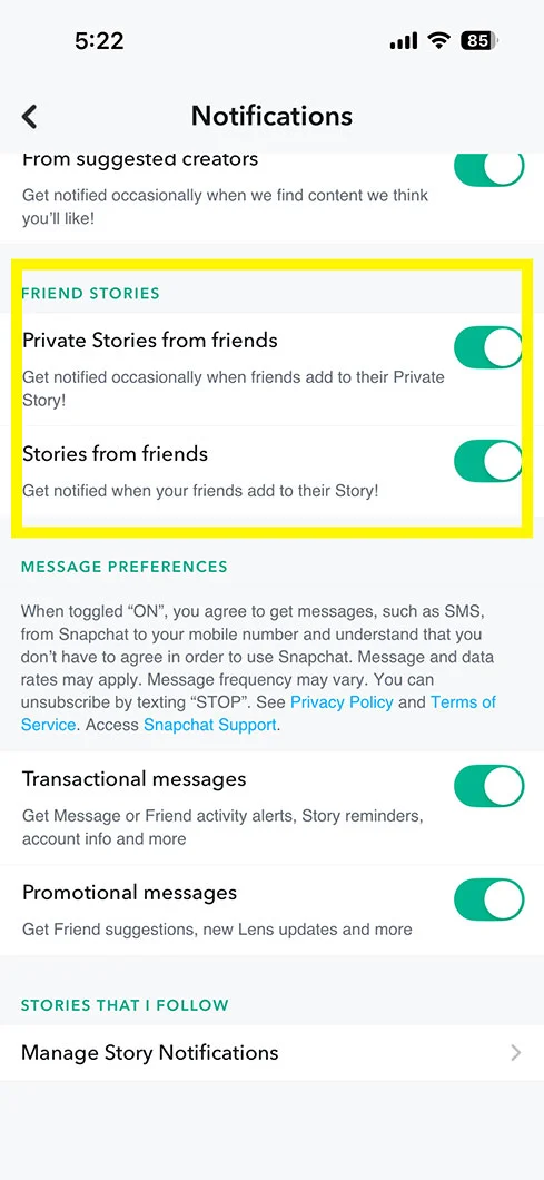 Scroll down a bit to tap on Friend Stories.